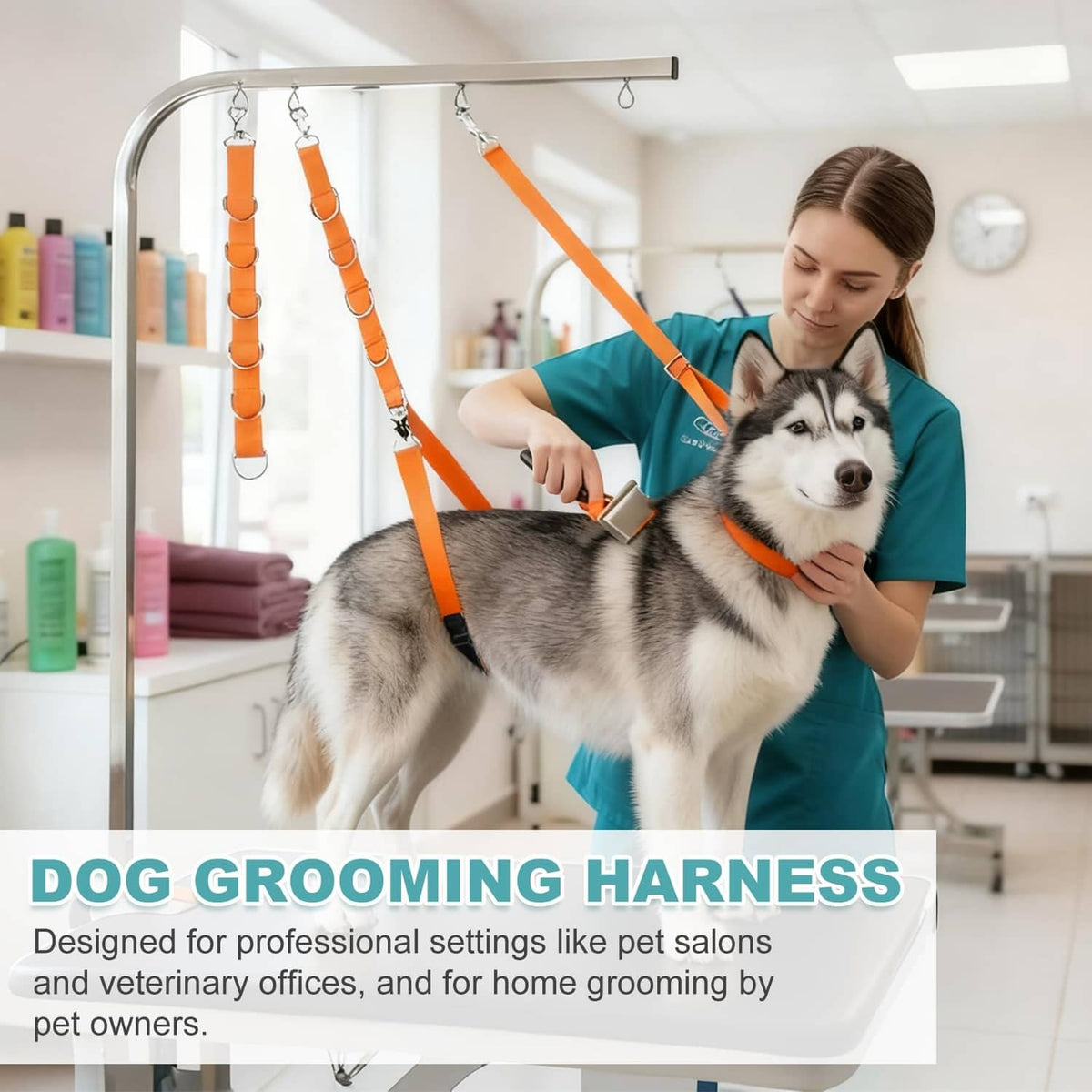 Orange grooming harness loop system on a dog, adjustable strap with metal rings