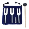 Blue velvet pouch with three silver tuning forks, marked 4225, 4096, and 4160, plus mallet