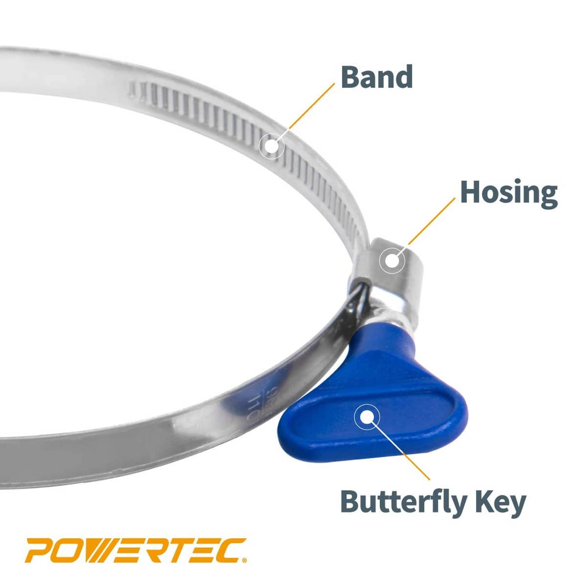 Blue butterfly key hose clamp with steel band and tightening screw, 2-1/2 in size.
