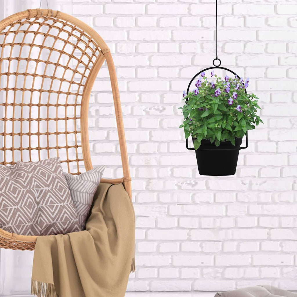 Black hanging plant pot with purple flowers and green foliage on a metal hook