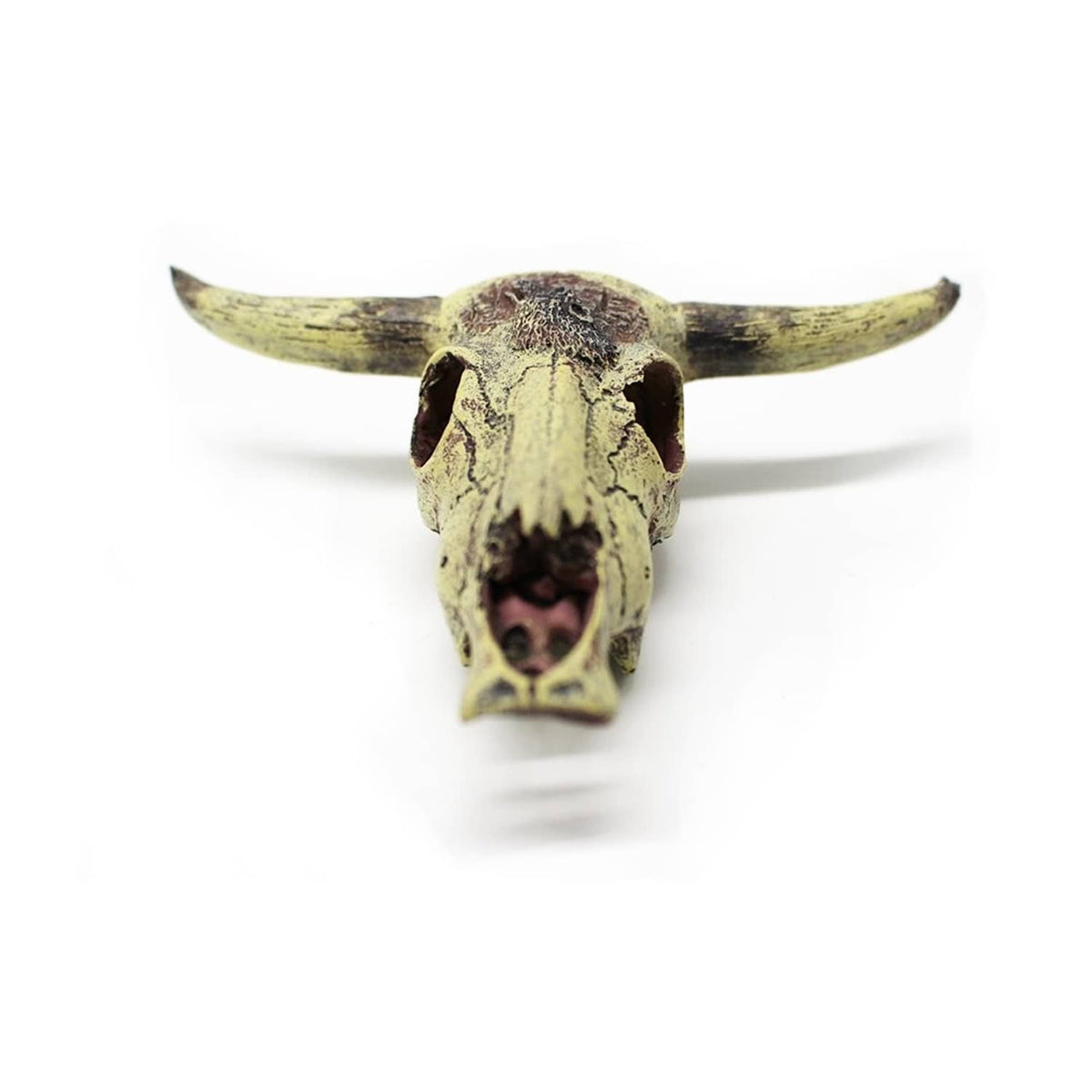 Aquarium skull ornament head-on view with curved horns and dark nostril openings