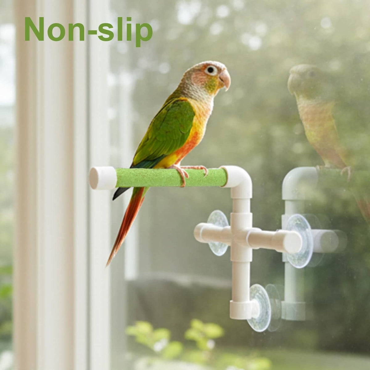 Portable bird window suction perch on a green padded rod with white suction cups and bird.