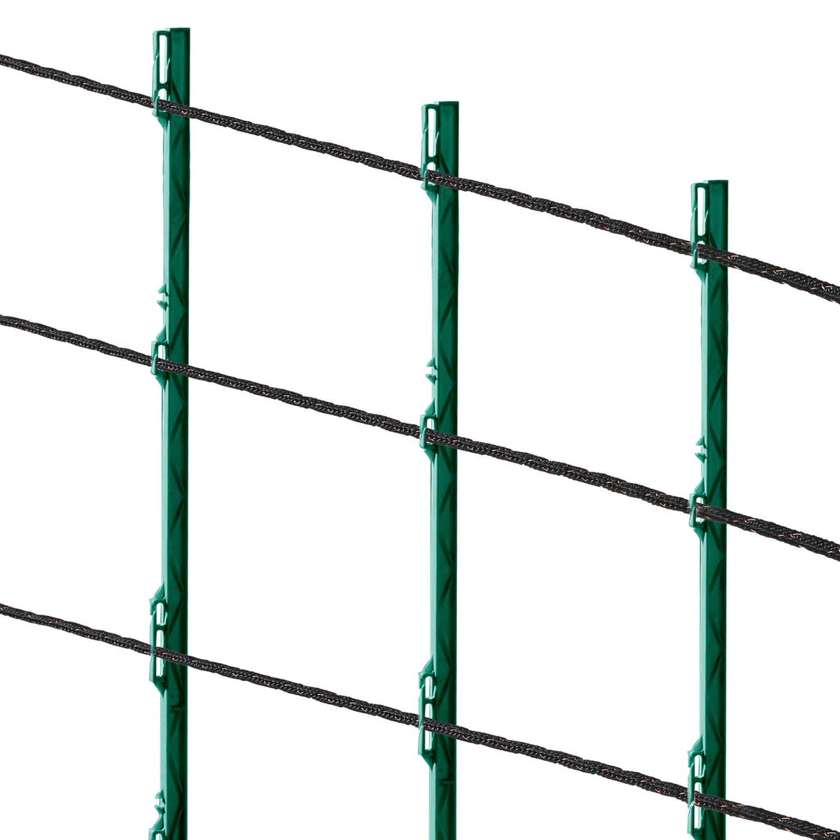 Section of electric fence wire with black strands attached to green posts