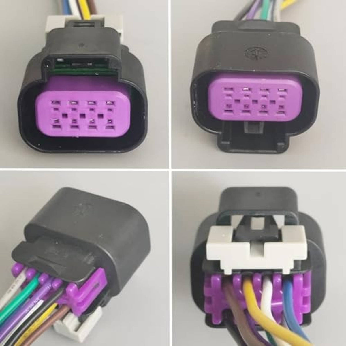 8-pin throttle connector harness pigtail, front and back views of purple housing