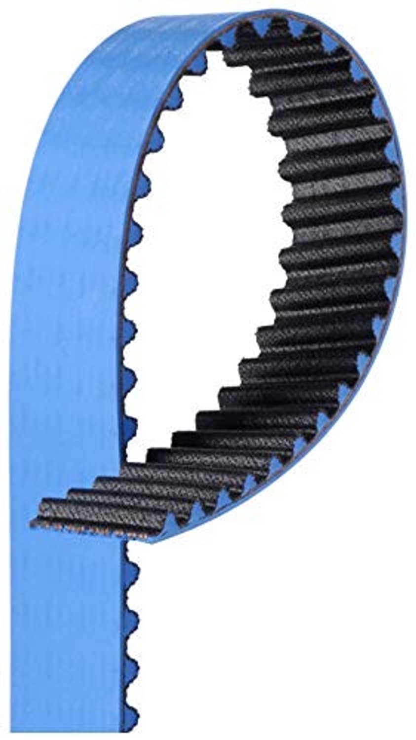 Blue timing belt with black toothed ribs, Gates T312RB