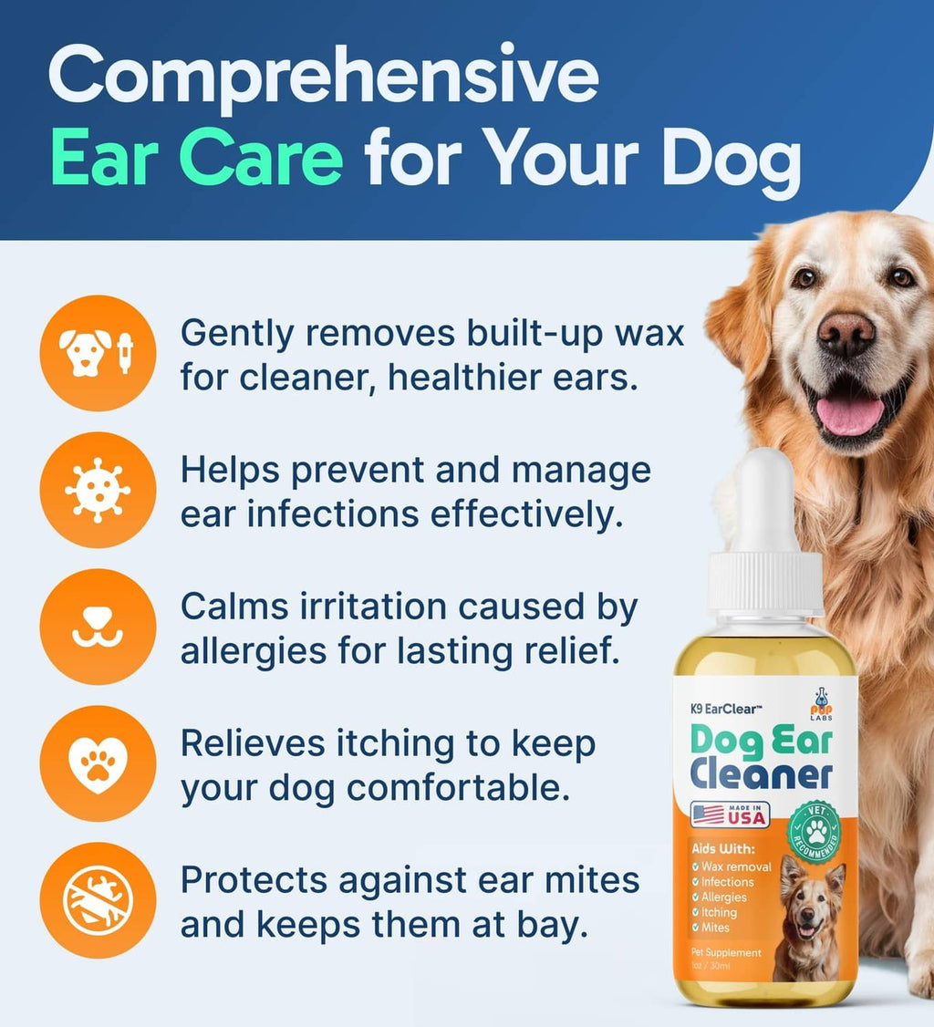 Dog ear cleaner bottle with dropper beside a seated dog