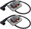 2-piece ignition coil set with black wire leads and gray mounting plate
