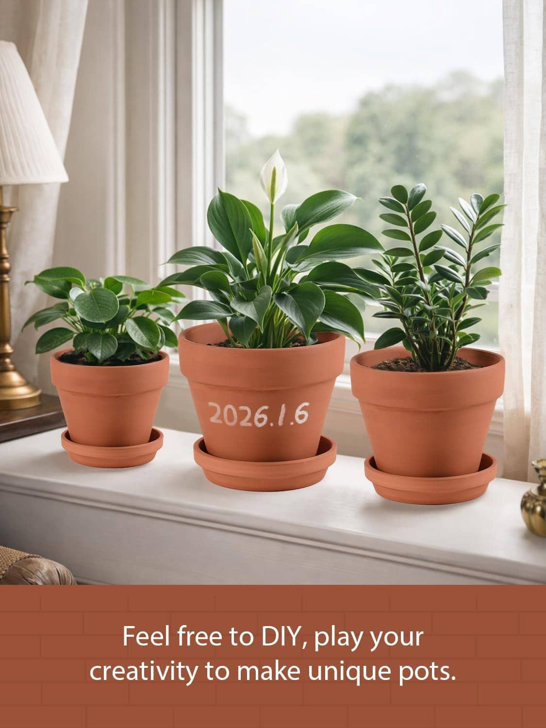 Terracotta ceramic plant pots set with saucers, five planters with leafy plants on shelf