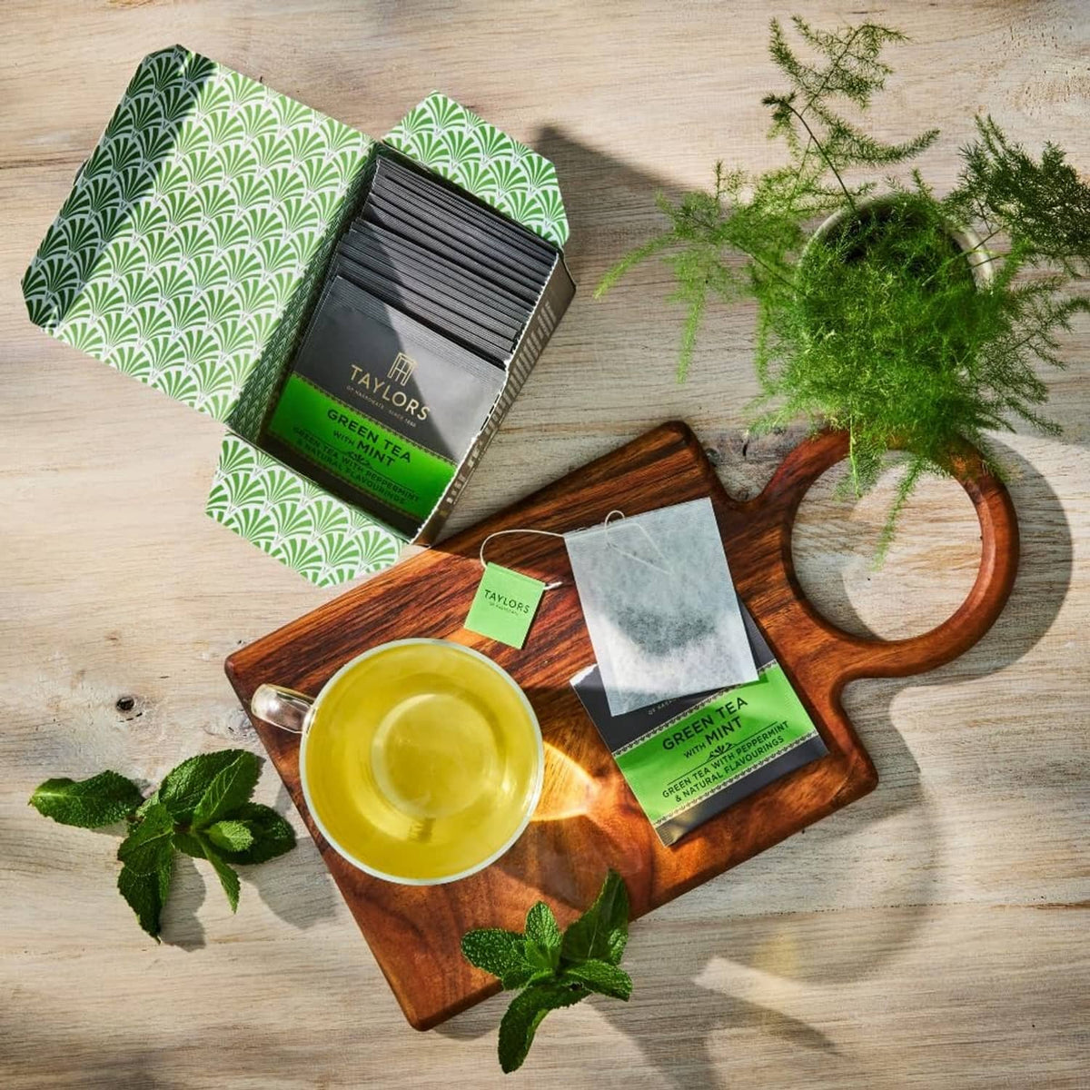 Green tea with mint tea selection with open box, tag bags, and cup