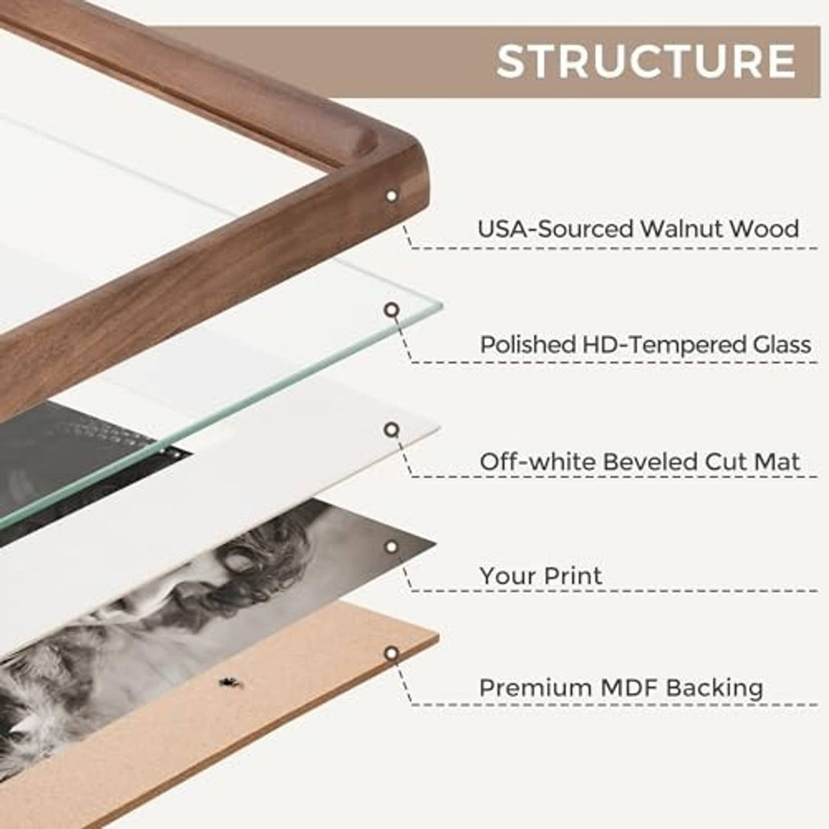 Walnut wood frame with polished tempered glass and off-white beveled mat