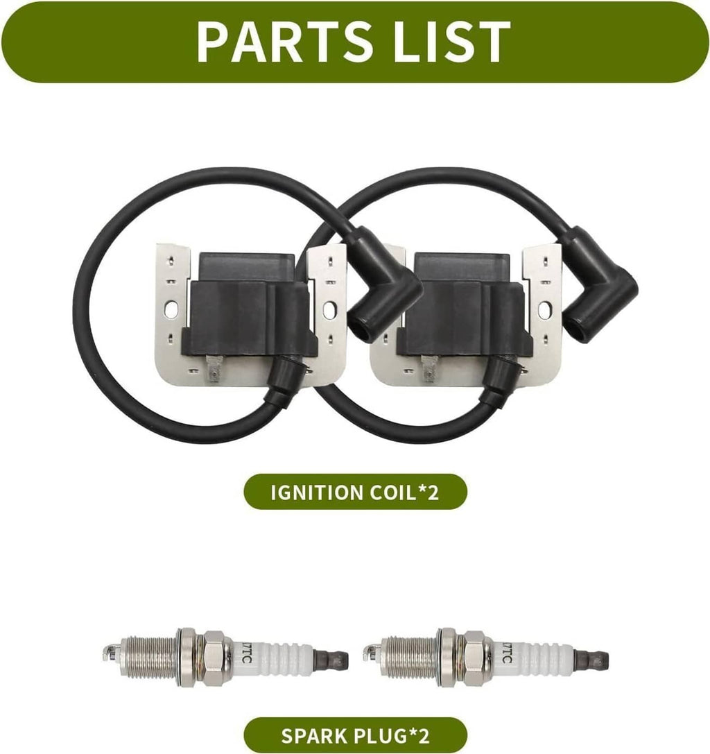 Ignition coil module set with spark plug pair and two black ignition leads