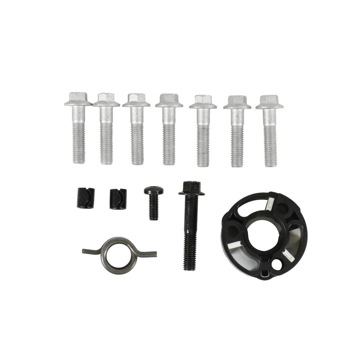 Supercharger snout rebuild kit—assorted screws, springs, and ring seal components