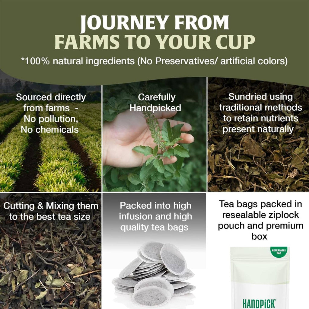 Tulsi tea herbal infusion journey pack: resealable pouch and tea bags, 100 count