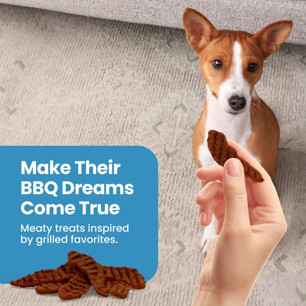 Brown dog treat held in hand with a tan-and-white dog looking