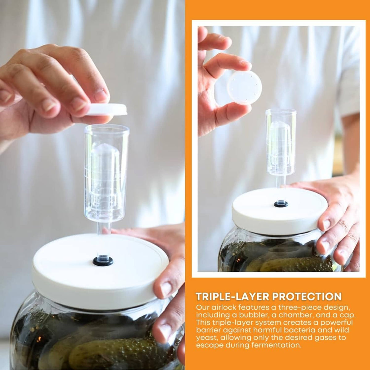 Airlock lid being placed on large clear glass jar with wide mouth opening