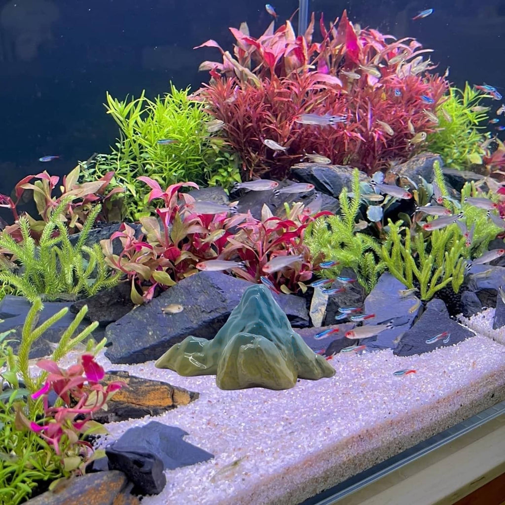 Green ceramic mountain hideout for aquarium among rocks and plants