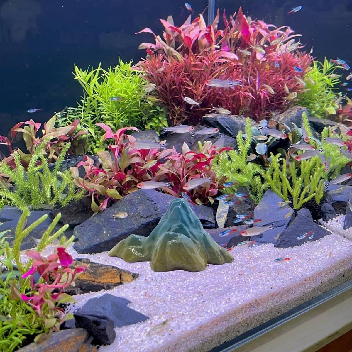 Green ceramic mountain hideout for aquarium among rocks and plants