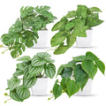 4-pack small leafy artificial plants with green vines in white square pots