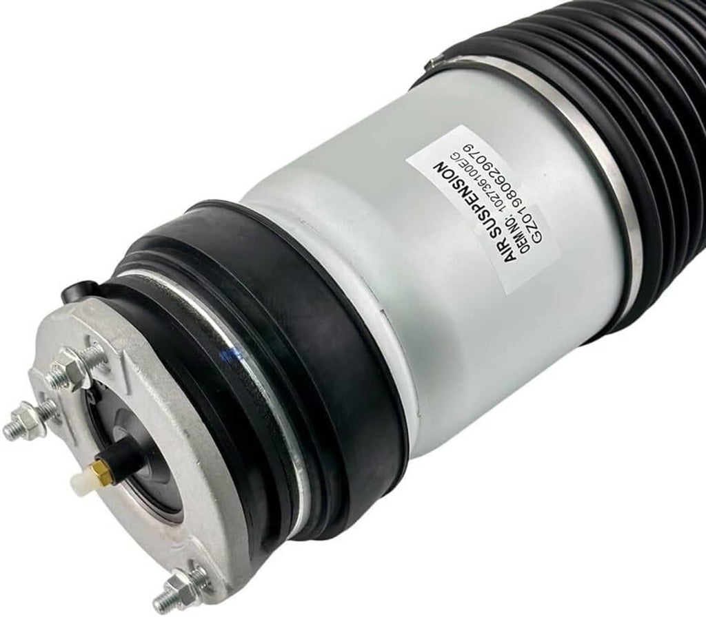 Front air suspension shock strut close-up of mounting flange and black top seal.