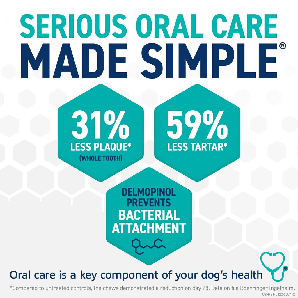 Dog dental care graphic with a mint-green chew shape and hexagon callouts on a white background