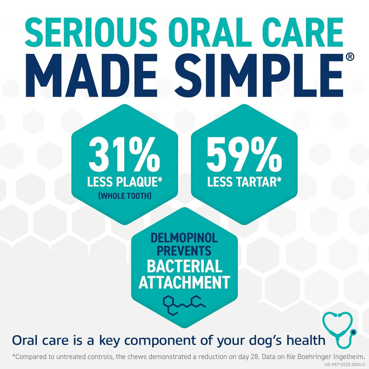 Dog dental care graphic with a mint-green chew shape and hexagon callouts on a white background