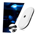 White car ceiling dome reading light with blue LED glow, compact oval body.