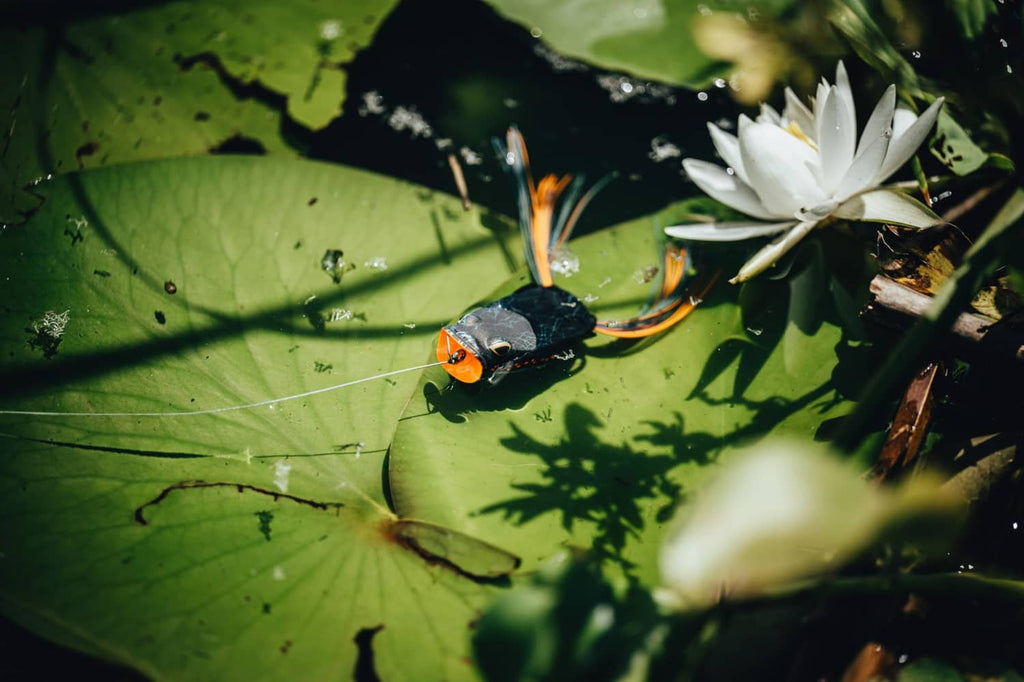 Frog lure on the water surface near lily pads, dark camo body with orange eyes
