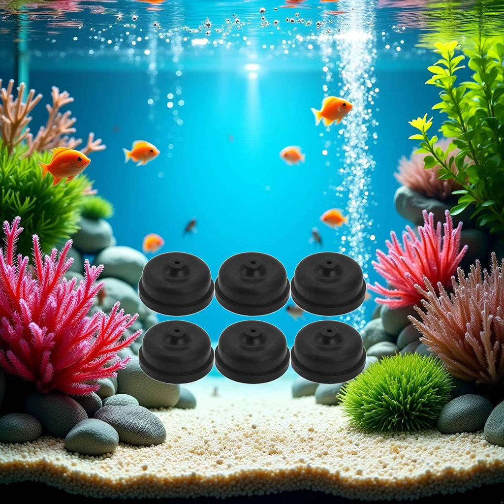 Six black diaphragms arranged in a row on aquarium substrate