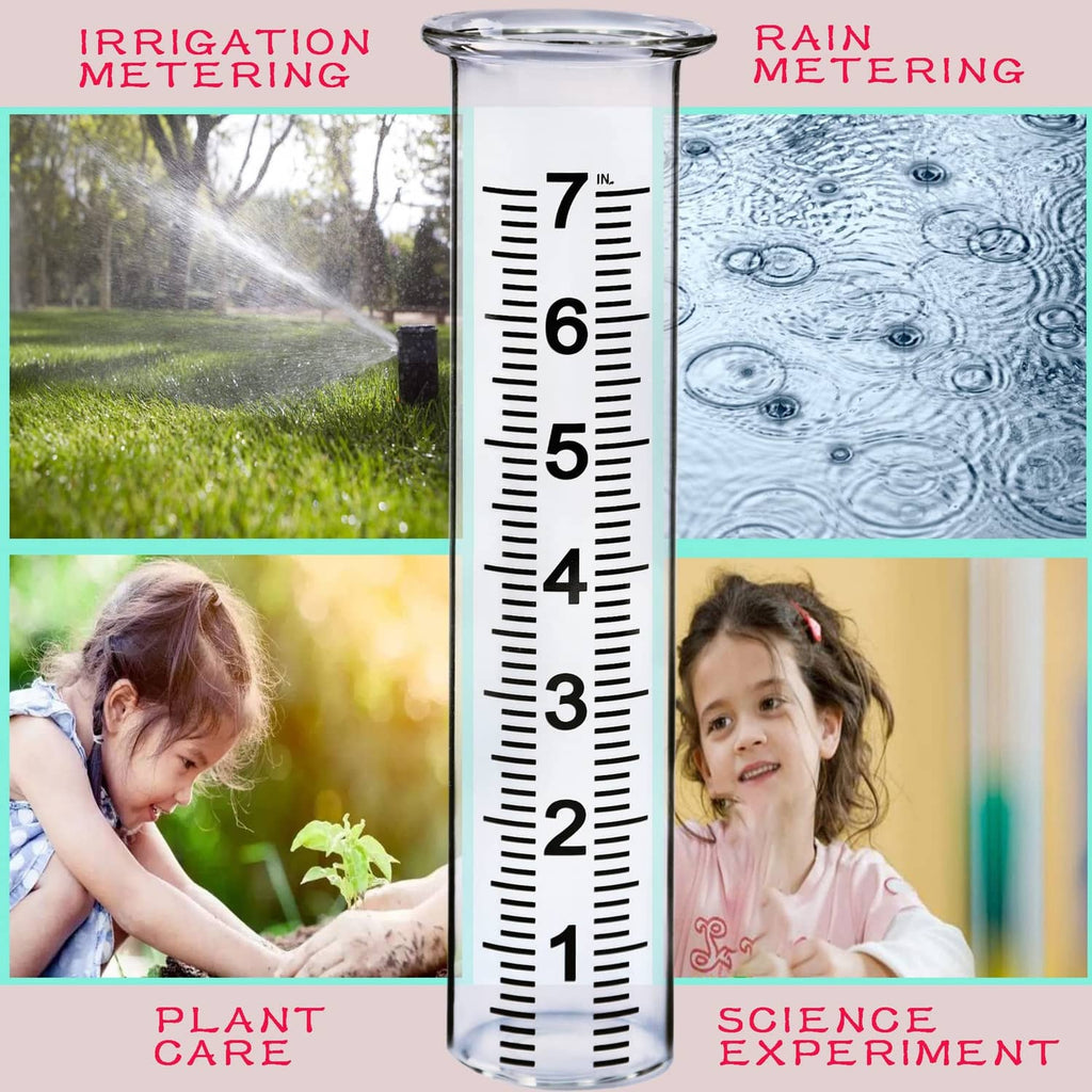 Glass rain gauge tube standing with 1–7 inch scale and clear measurements