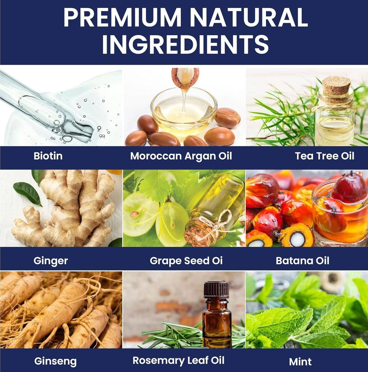 Men's hair growth shampoo ingredients panel with plant oil and spice images