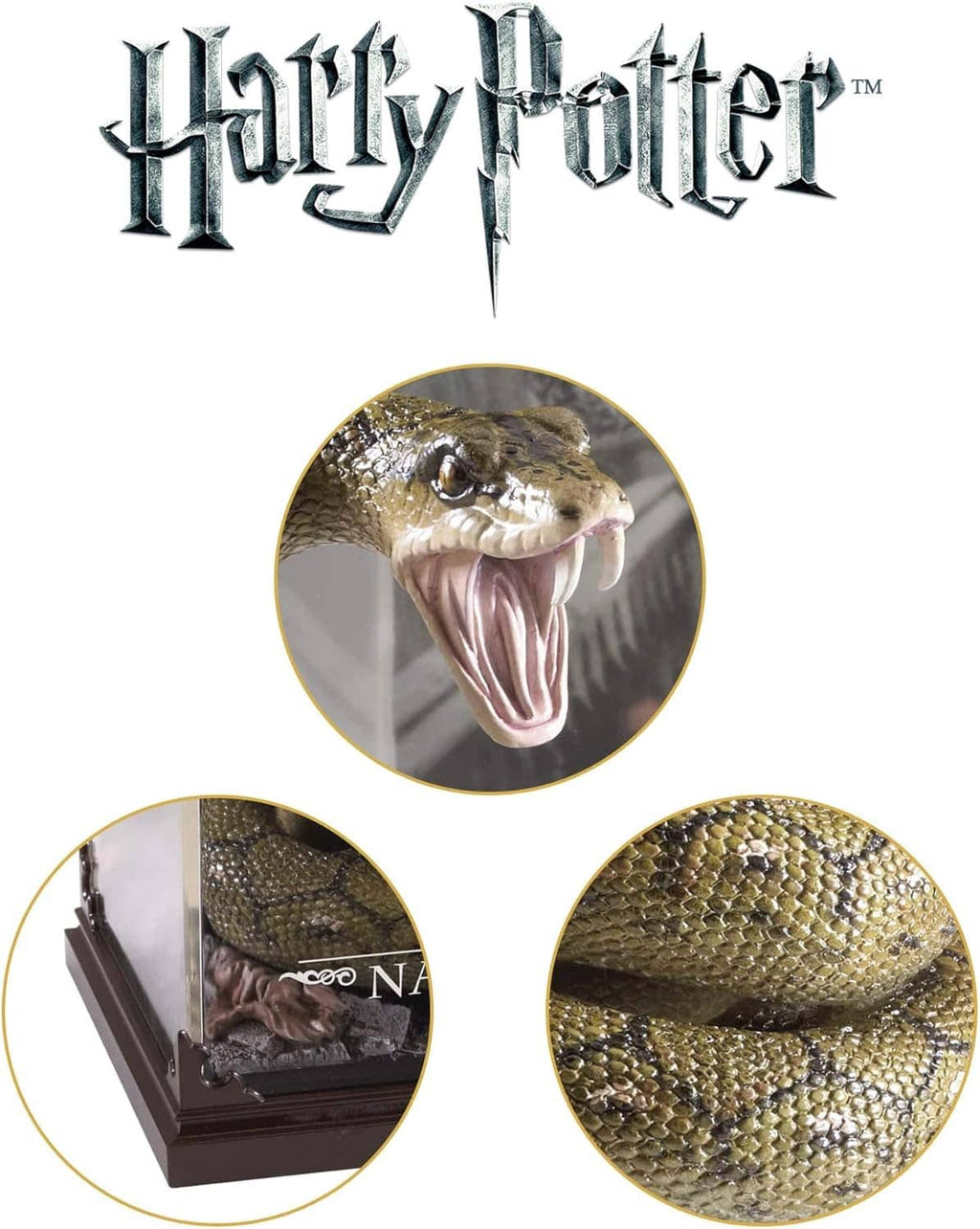 Harry Potter themed display case with close-up circles of green snake figure