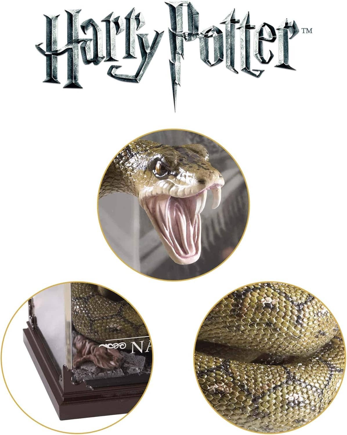 Harry Potter themed display case with close-up circles of green snake figure