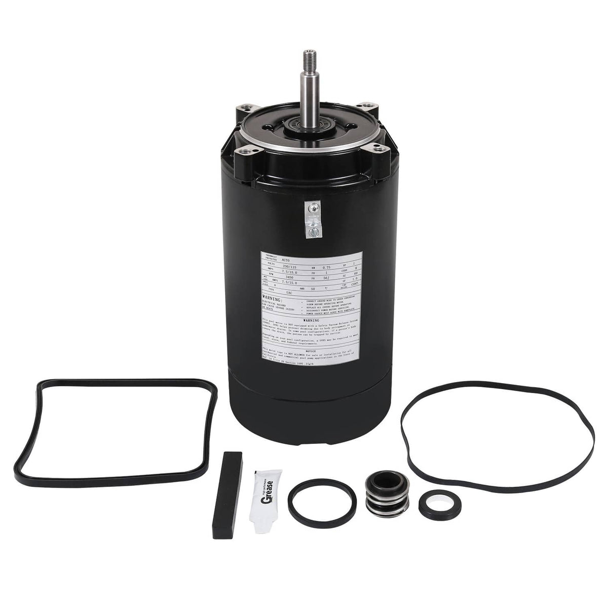 Pool pump motor and seal replacement kit with black motor, gaskets, and O-rings
