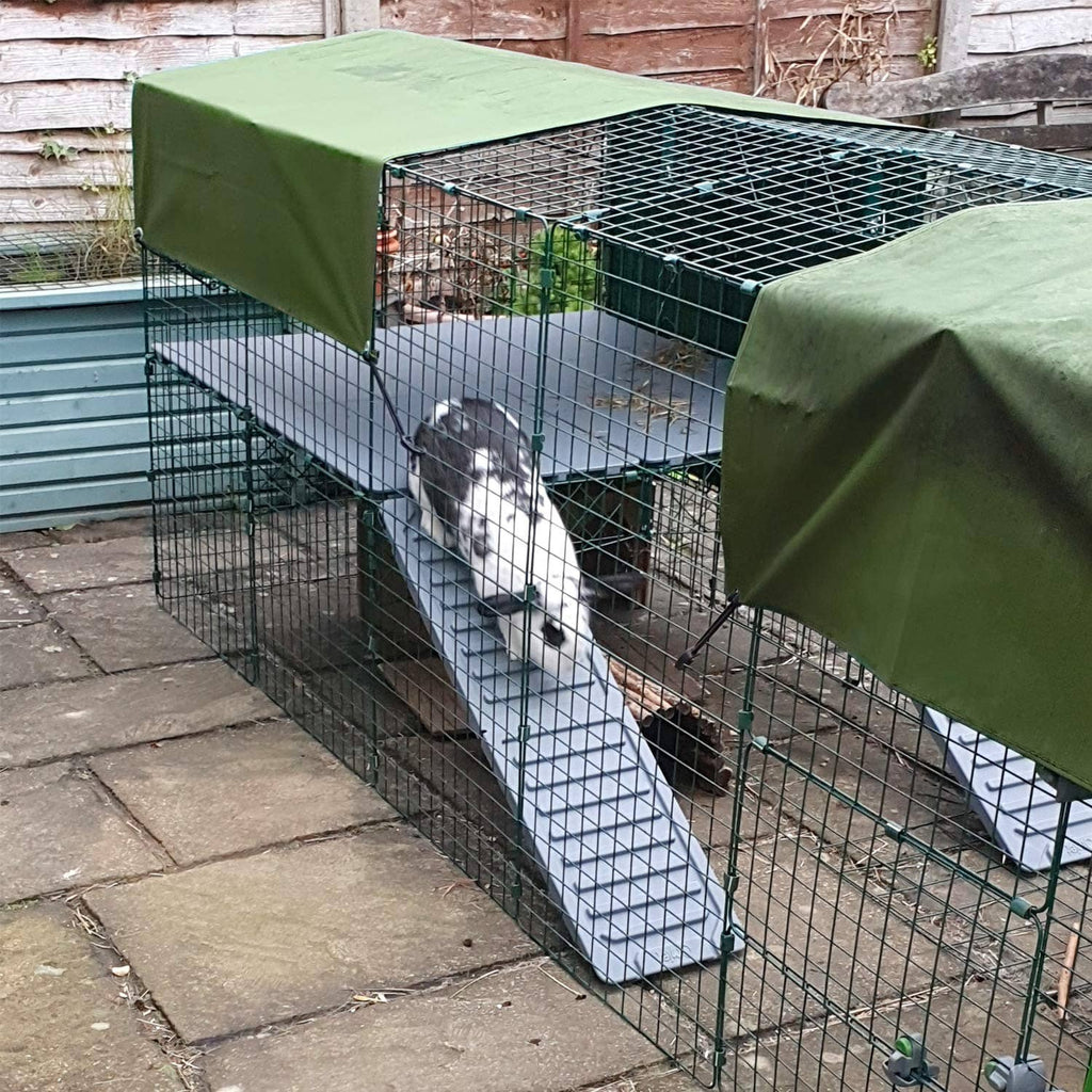 Green heavy-duty tarp over wire animal crate, secured at corners with grommets