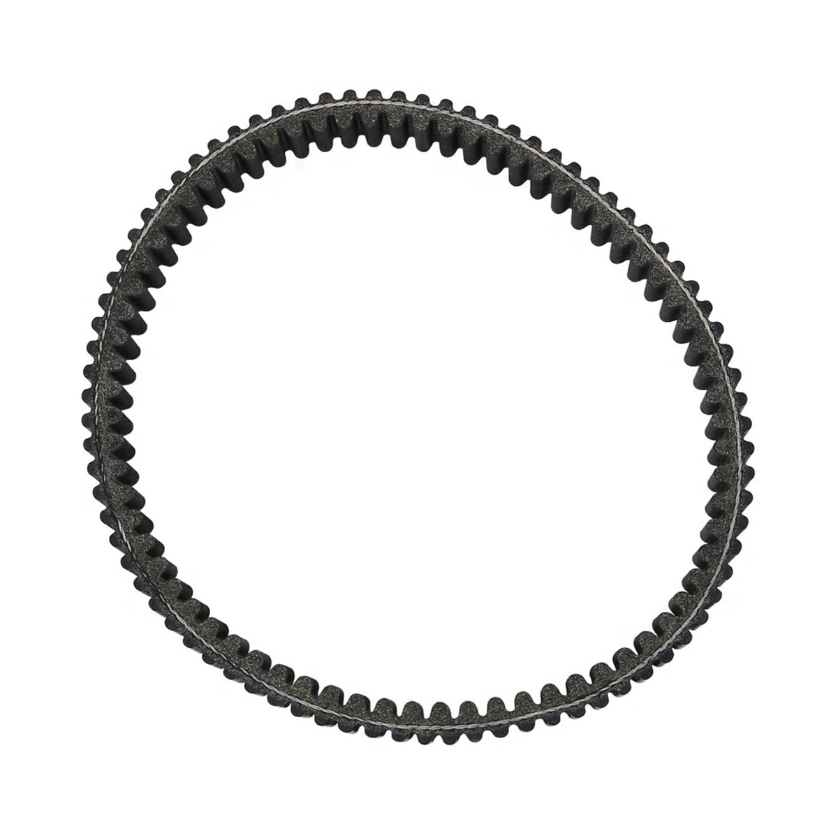Black ribbed drive belt loop with toothed perimeter and rugged textured backing