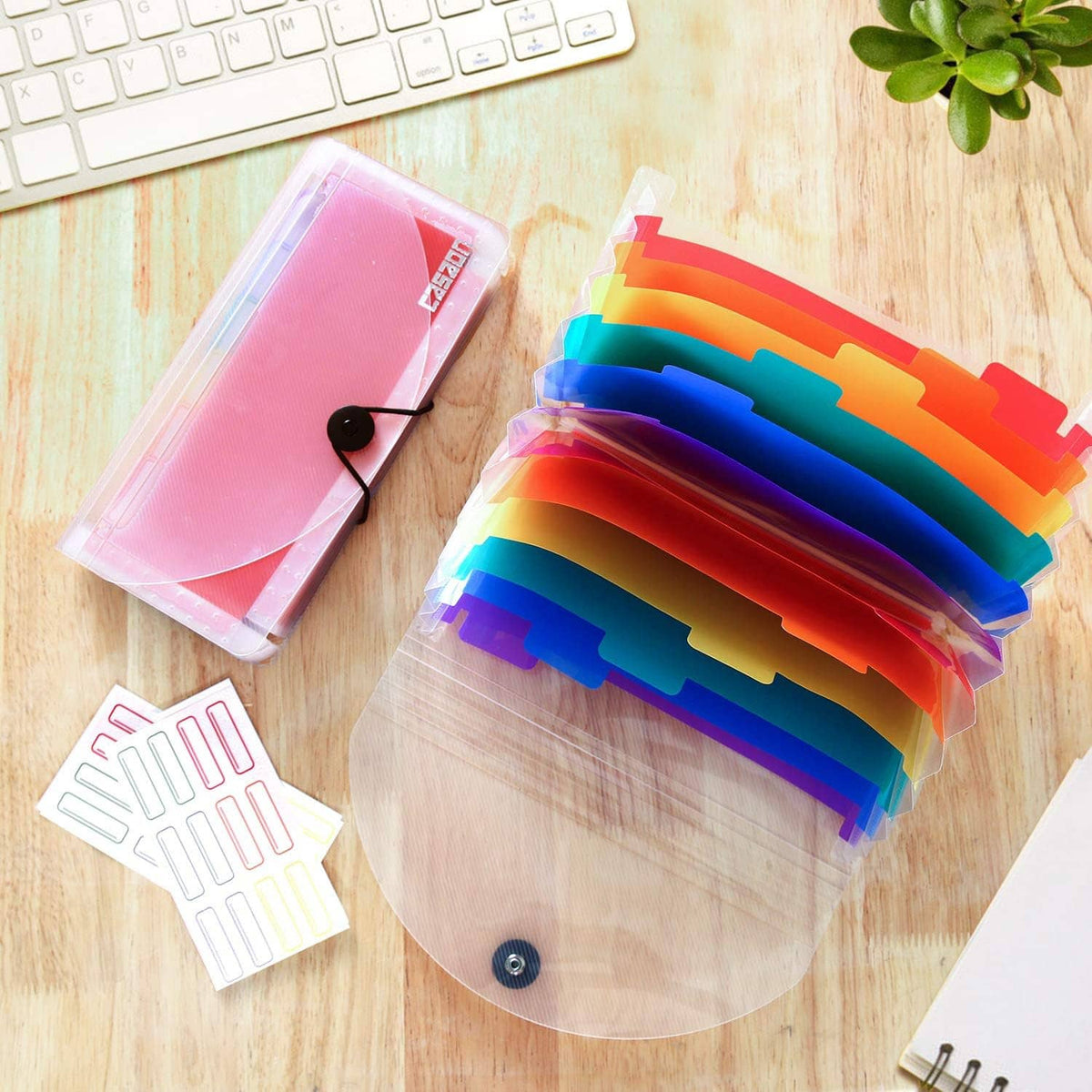 2-pack document holders with button closure, rainbow dividers, and red translucent pockets
