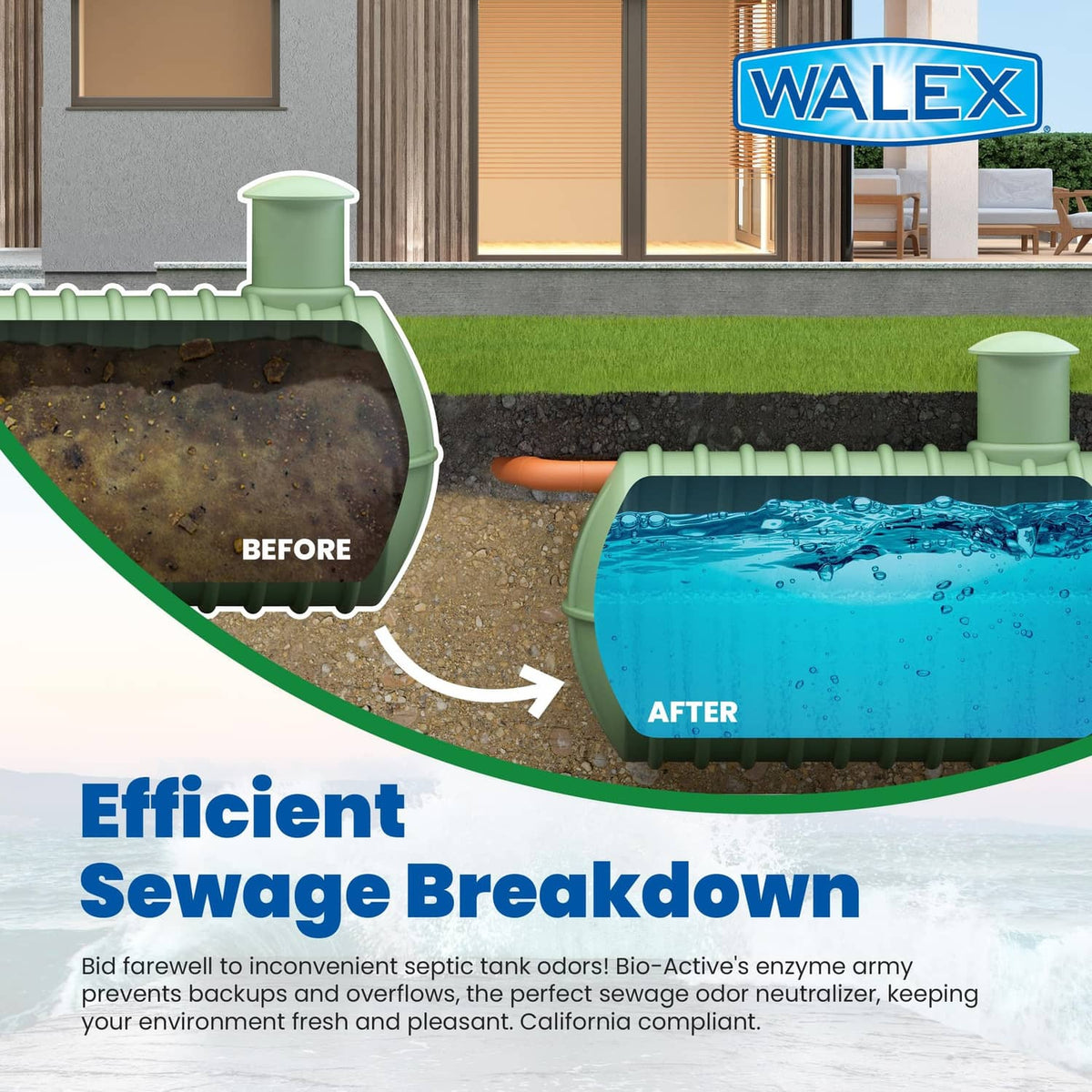 Septic system before-and-after illustration with WALEX logo badge
