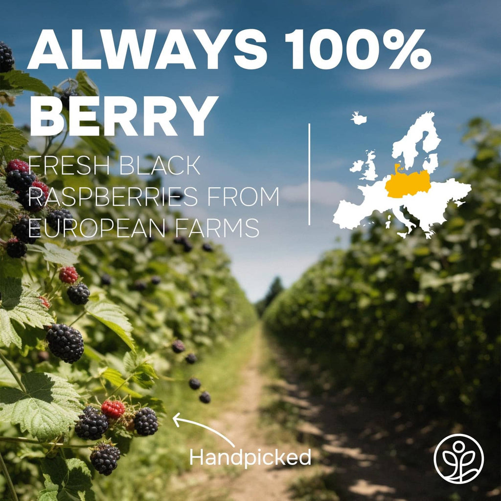 Black raspberries on bramble plant with a scenic farm path backdrop