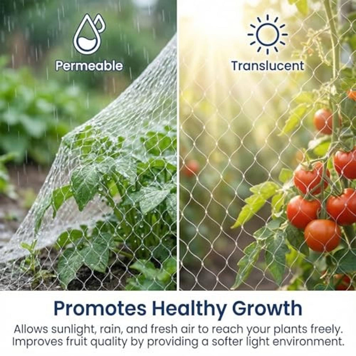 Clear translucent bird netting mesh sheet over plants with fine diamond grid