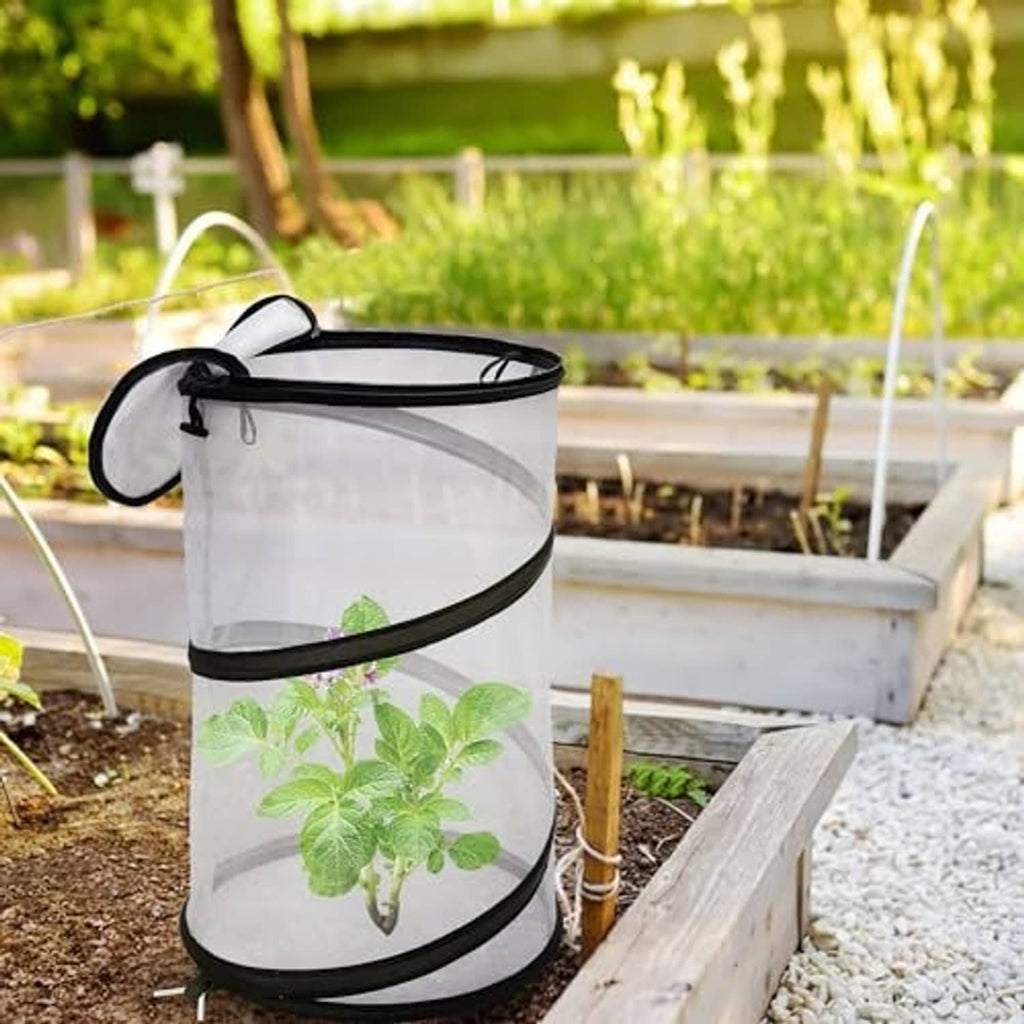 Round collapsible plant cover with black rim and clear insect net on outdoor garden bed