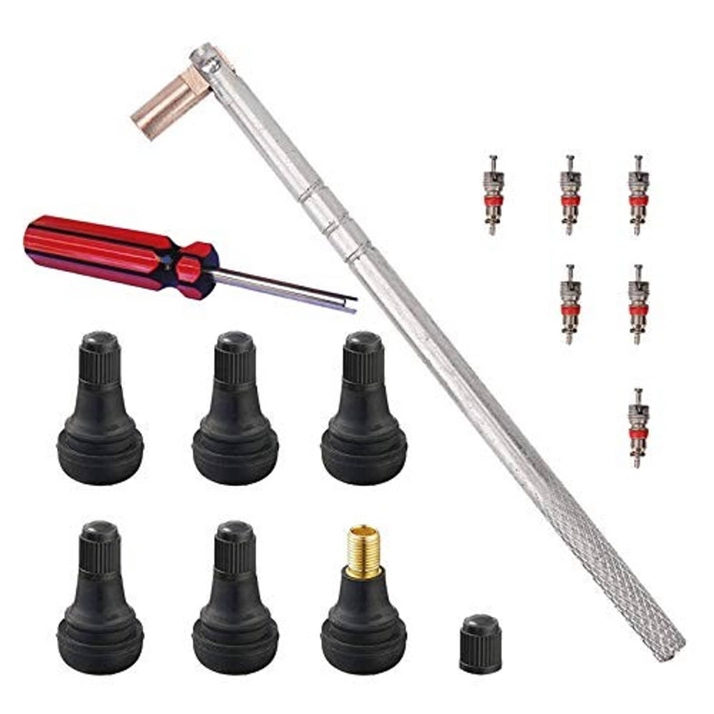 Tire valve stem tool kit with long metal remover/installer, red handle, and valve stems