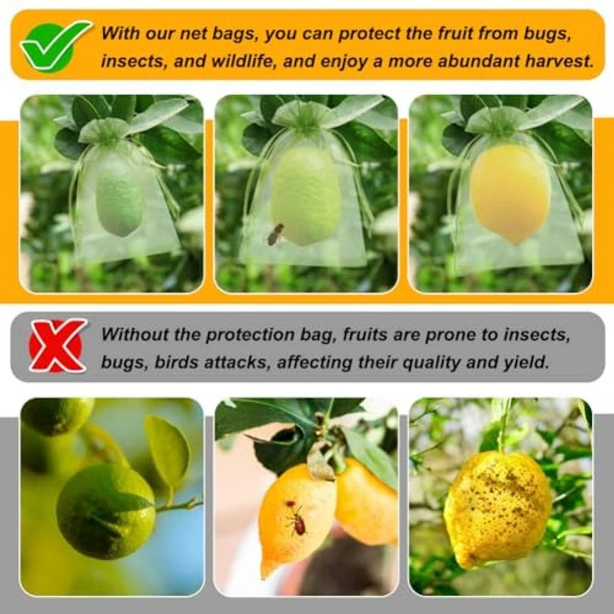 Green mesh drawstring fruit bags holding fruit samples in inset panels