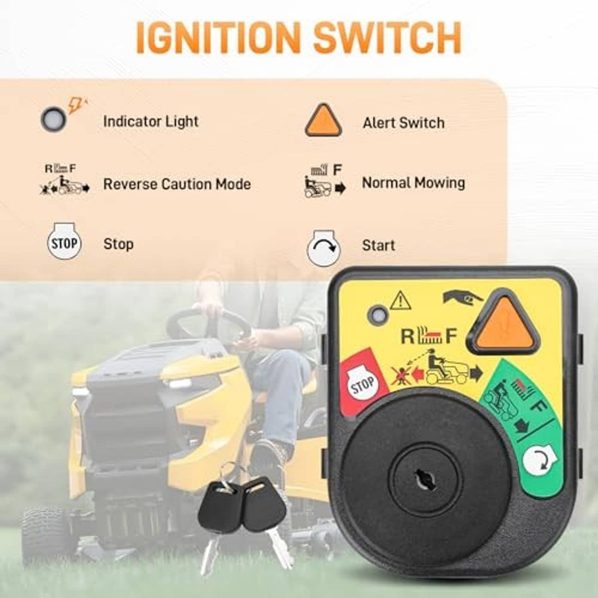 Ignition switch module with indicator symbols and key cylinder