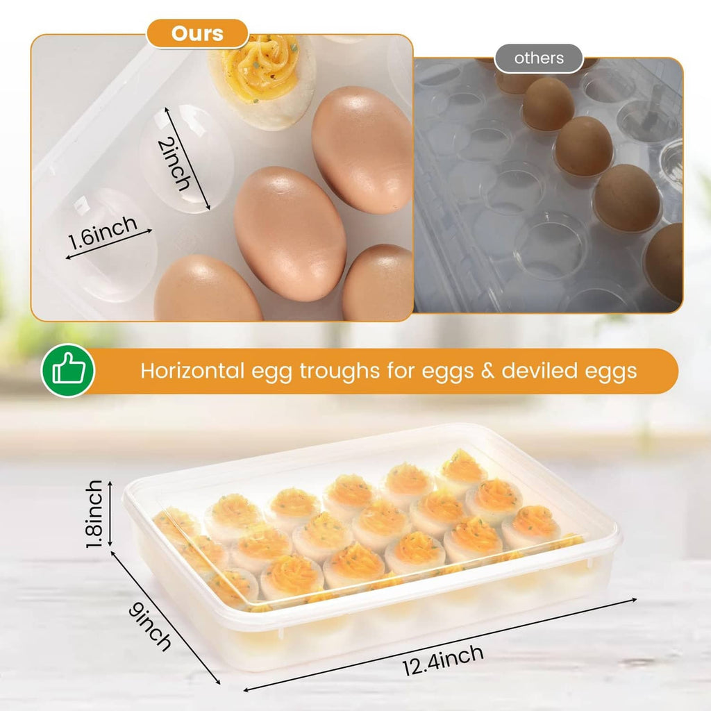 Clear plastic egg tray carrier with lid, showing compact compartment layout and fit