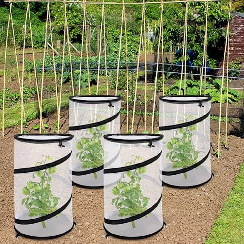 Multiple round collapsible plant covers with clear mesh and black rims in a garden row