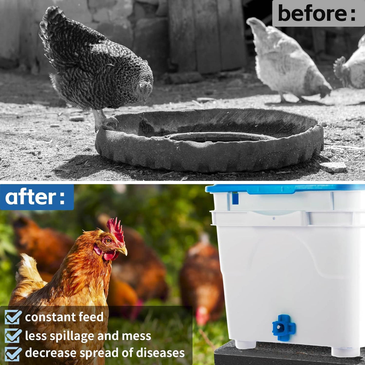 White bucket chicken waterer kit with blue horizontal nipples for drinking