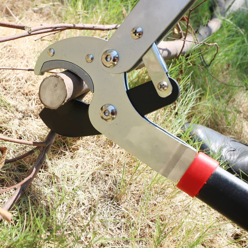Anvil lopper with curved blade contacting a branch, silver anvil head and red band