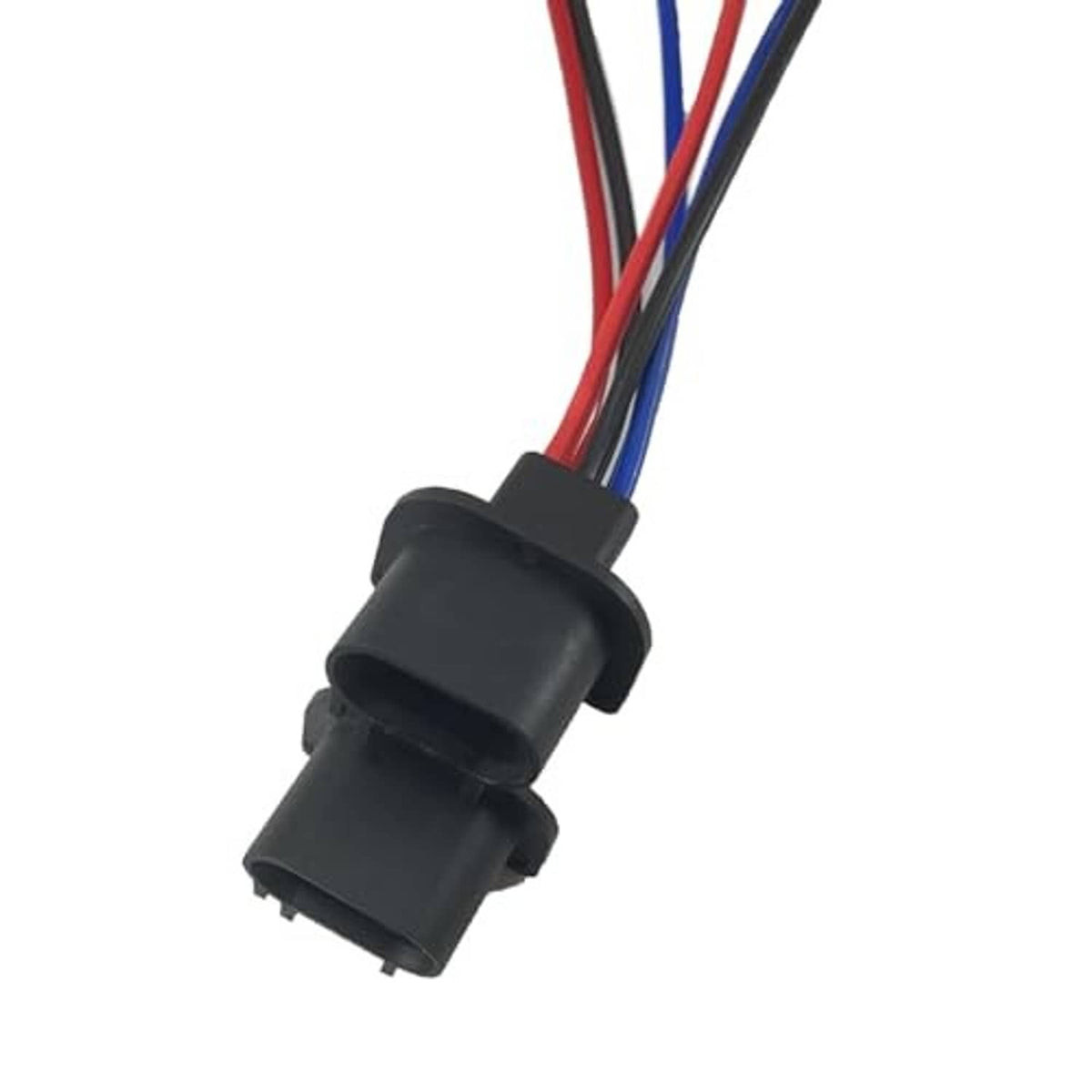 Black male headlight socket pigtail with red and blue wire leads