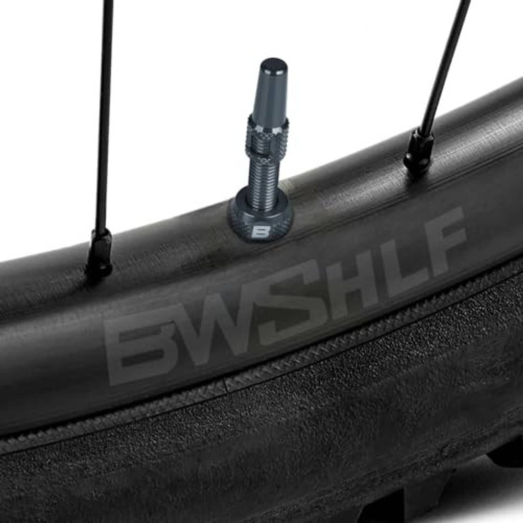 Gray Presta tubeless valve stem mounted on a bicycle rim