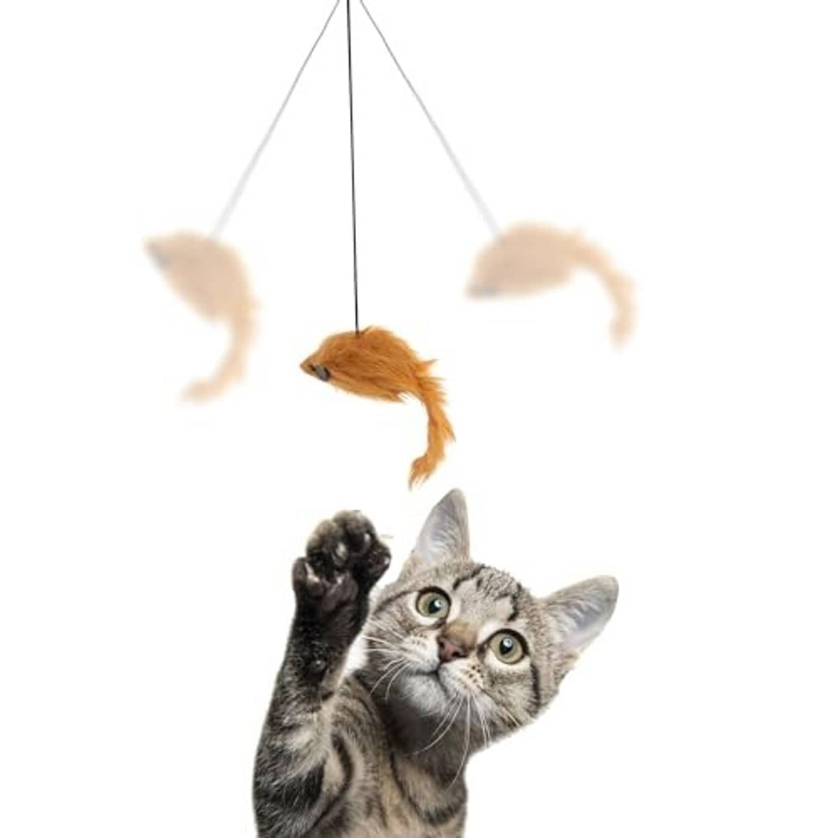Hanging cat toy with orange plush mouse and cat batting from below